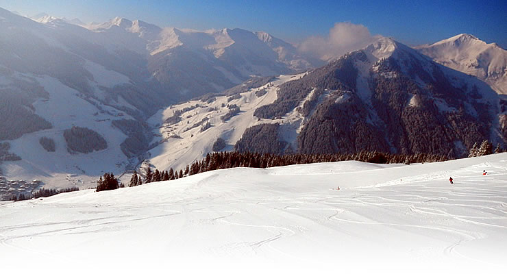 Blick zum Zwölferkogel